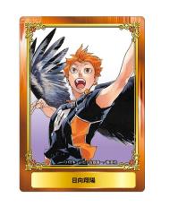 ハイキュー！！ アニメイト カード 10枚セット ジャンプフェア ジャンプフェア 2020 in アニメイト 第一弾 特典カード ハイキュー