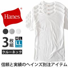 Hanes wCY TVc Y 3PpbN Ci[TVc N[lbN ێ 100   O[ ubN zCgyH4Dzy