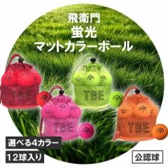 q u}bgJ[{[ FST胂f 2s[X 12 IWibVobN S4F St 򋗗 St{[ щq