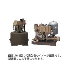 ���C�����|���v �yWSSU252F�z���˗p�|���v WS�^ �t�����W �P��100V �o��250W�kFF�l