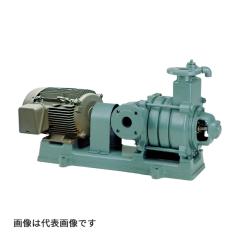 �����c �e���_�|���v �yMFS5-57.56E�z���z�� ���i�|���v MFS�`(4��) �O�����h�p�b�L���� ���[�^�[�t 50Hz ���a65mm �o��7.5kW �󒍐��Y�k