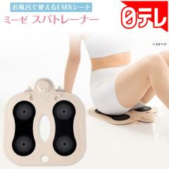 �~�[�[ �X�p�g���[�i�[ �y���Ԍ���2/25�܂Łz ���e���|�V����(���{�e���r �ʔ� �|�V����)