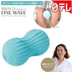 RIKACO t@CEF[u e|V({er ʔ |V)