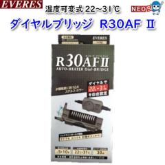 �G���@���X�@�I�[�g�q�[�^�[�@�_�C�����u���b�W�@R30AF�@II