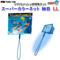 J~n^@X[p[J[lbg@זځ@LL