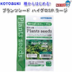 �R�g�u�L�@�v�����c�V�[�h�@�n�C�O��SP���[�W
