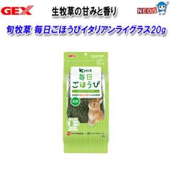 GEX �{�q�� �������ق��уC�^���A�����C�O���X20g
