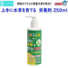 �\�l�P�~�t�@�@���ɐ�������Ă�@�h�{��250ml