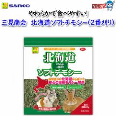 �O�W����@�k�C���\�t�g�`���V�[�@��600g�@No.G62 