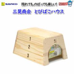 �O�W����@�Ƃт΂��n�E�X�@No.H19