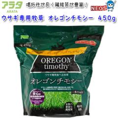 �A���^�@�E�T�M��p�q���@�I���S���`���V�[�@450g