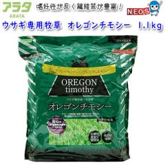 �A���^�@�E�T�M��p�q���@�I���S���`���V�[�@1.1kg