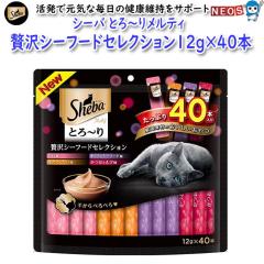 }[XWp@V[o@Ƃ`胁eB@ґV[t[hZNV@12g~40{