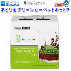 @قƂ肦@O[J[ybgLbg@P