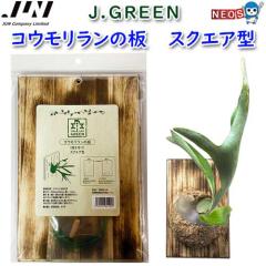 JUN@RE̔@XNGA^@񏤕i