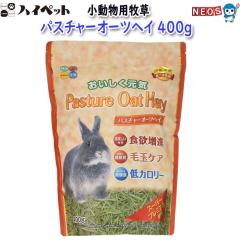 �n�C�y�b�g�@�p�X�`���[�I�[�c�փC�@400g