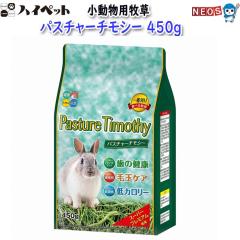 �n�C�y�b�g�@�p�X�`���[�`���V�[�@450g