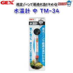 GEX�@�����v�@���@TM-34