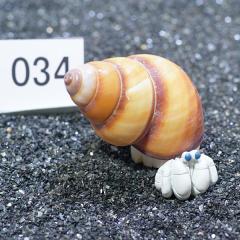 _@hĴƁ@v~A@1@ry034