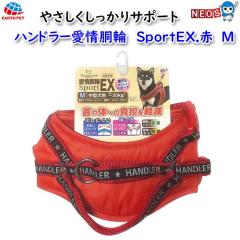 A[XEybg@nh[@ց@rdwDԁ@l