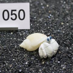 _@hĴƁ@v~A@1@ry050