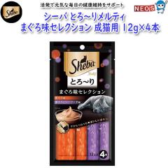 }[XWp@V[o@Ƃ`胁eB@܂떡ZNV@12g~4{