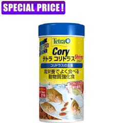 �y���j�Ŏs�z�e�g���@�R���h���X �V�������v 105g