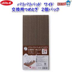 L@oopbh@Ch@p߂Ƃ@2pbN