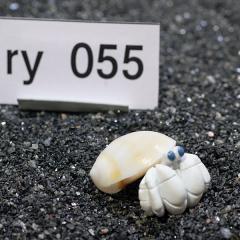 _@hĴƁ@v~A@1@ry055