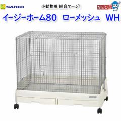 �O�W����@�C�[�W�[�z�[��80�@���[���b�V���@WH�@C321