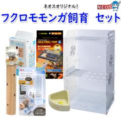 yꂾOKIZbgz7_@tNK@ZbgEX^[^[ZbgyS/߂//z