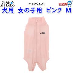 WpybgR~jP[VY@p@xbcEFA@̎qp@sN@M