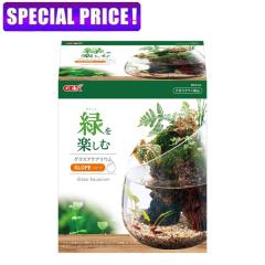 �y���j�Ŏs�zGEX �O���X�A�N�A���E�� �X���[�v �����C���e���A �K���X��