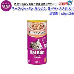 }[XWp@JJ@܂Eݓ@Lp@1΁`7΁@70g@160g~3