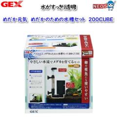 GEX�@���_�J���C���_�J�ׂ̈̐���S 200Cube