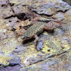 () qcKG@iP.TcmjiPCj  y/Mы/Ϗ܋/zýzyʔ/̔zyANAE/肤ށz 