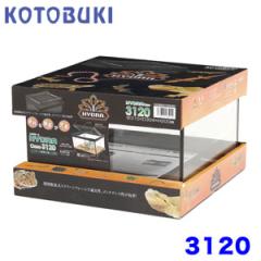 �R�g�u�L�@ �q���h���P�[�X3120�@  �y����/�M�ы�/�Ϗ܋�/����z�y���́z�y�ʔ�/�̔��z�y�A�N�A���E��/�������肤�ށz 