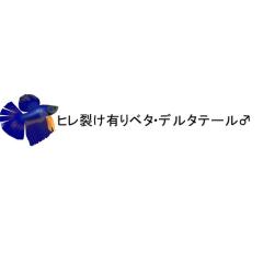 (�M�ы� ����) �ɐB�̐e���ɁI�q�������L�@�f���^�e�[���@�I�X�@�i�P�C�j  �y����/�M�ы�/�Ϗ܋�/����z�y���́z�y�ʔ�/�̔��z�y�A�N�A��