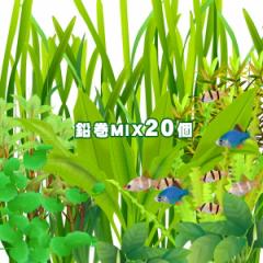 (����) ���܂��������@�O�i�`��i�@������MIX�i�~�b�N�X�j�@�i�P�O��ȏ�@�Q�O�j�@�O�i�`��i�܂Ńo�����X�ǂ��������I�X�X�����i  �y