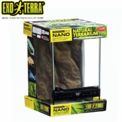 GEX EXO TERRA�i�G�L�]�e���j�@�O���X�e�����E���@�i�m(W21.5�~D21.5�~H33.0cm)  �y����/�M�ы�/�Ϗ܋�/����z�y���́z�y�ʔ�/�̔��z�y�A