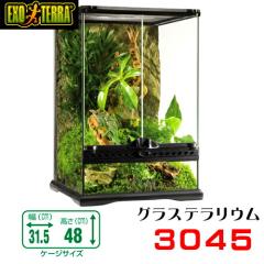 GEX�@�O���X�e�����E���@3045�@঒��ށ@����@�P�[�W�@�K���X�P�[�W�@  �y����/�M�ы�/�Ϗ܋�/����z�y���́z�y�ʔ�/�̔��z�y�A�N�A���E