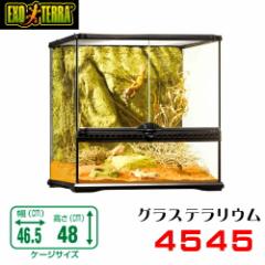 GEX�@�O���X�e�����E���@4545�@঒��ށ@����@�P�[�W�@�K���X�P�[�W�@  �y����/�M�ы�/�Ϗ܋�/����z�y���́z�y�ʔ�/�̔��z�y�A�N�A���E