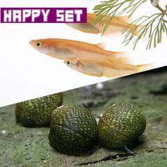 中 上層魚 底層魚 お店のカテゴリ 熱帯魚通販のネオスネットショッピング 通販はau Pay マーケット