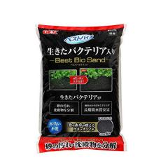 GEX@xXgoCITh 6L@  y/Mы/Ϗ܋/zýzyʔ/̔zyANAE/肤ށz 