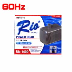 �J�~�n�^�@���I�v���XRio+1400 �p���[�w�b�h 60Hz�y��񏤕i�z�@  �y����/�M�ы�/�Ϗ܋�/����z�y���́z�y�ʔ�/�̔��z�y�A�N�A���E��/��