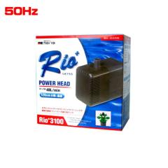 �J�~�n�^�@���I�v���XRio+3100 �p���[�w�b�h 50Hz�@  �y����/�M�ы�/�Ϗ܋�/����z�y���́z�y�ʔ�/�̔��z�y�A�N�A���E��/�������肤�ށz 