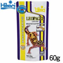 �L���[�����@���I�p�Q���@60g�@�y�a ���� �G�T�z�y�Ϗ܋��@�a���z  �y����/�M�ы�/�Ϗ܋�/����z�y���́z�y�ʔ�/�̔��z�y�A�N�A���E��/