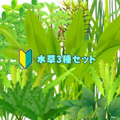 (����) �����r�M�i�[�����R��Z�b�g�@�i�R��@�X�{���j  �y����/�M�ы�/�Ϗ܋�/����z�y���́z�y�ʔ�/�̔��z�y�A�N�A���E��/�������肤��