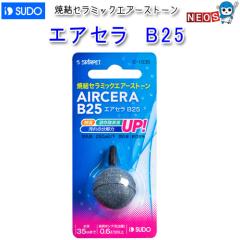�p�P�p�t350�~�X�h�[ �G�A�Z�� B25 S-1036