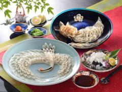 �������� �g�ˁ@�ߋT �i�P�O�l�O�j �M�t�g ������ �ʔ�